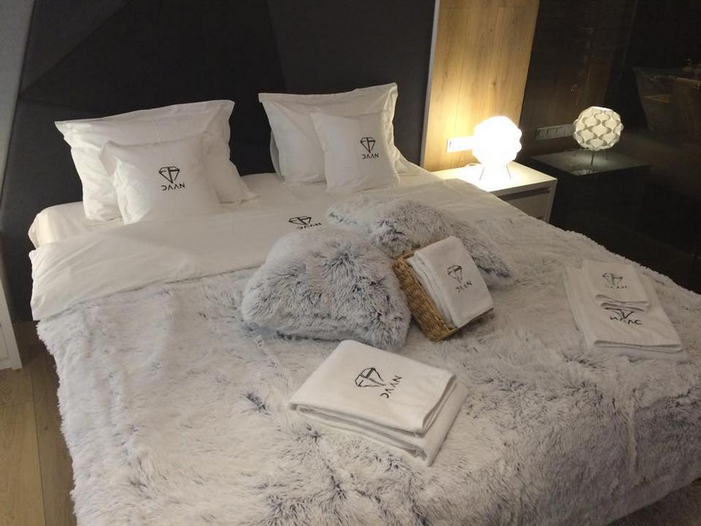 Daan Apartments クルージュ＝ナポカ 部屋 写真