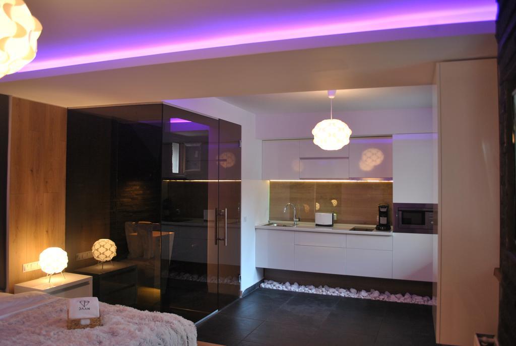 Daan Apartments クルージュ＝ナポカ 部屋 写真
